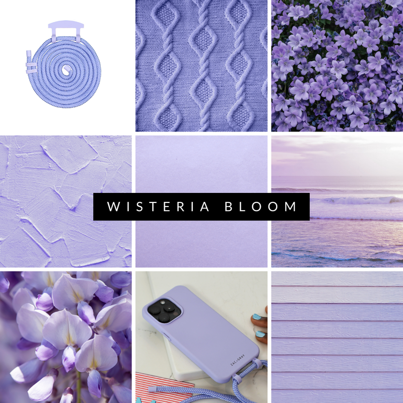 WISTERIA BLOOM